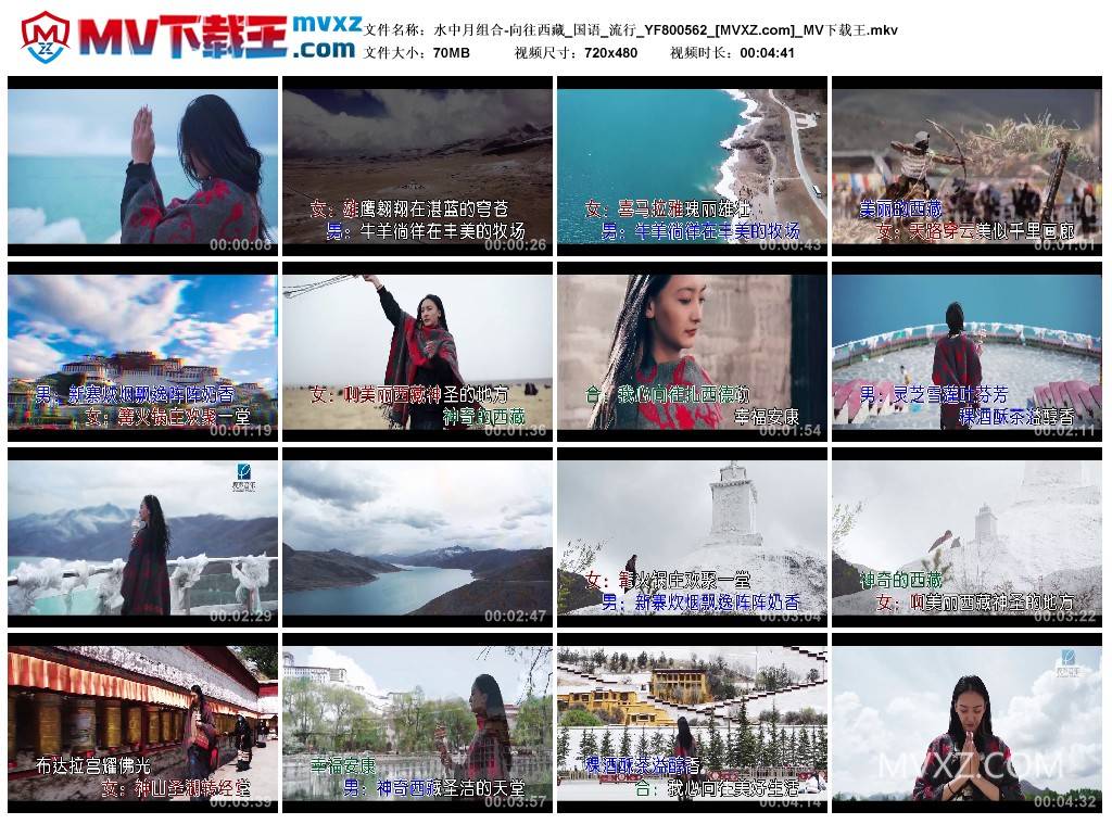 水中月组合-向往西藏_国语_流行_YF800562